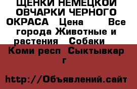 ЩЕНКИ НЕМЕЦКОЙ ОВЧАРКИ ЧЕРНОГО ОКРАСА › Цена ­ 1 - Все города Животные и растения » Собаки   . Коми респ.,Сыктывкар г.